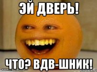 Эй дверь! Что? ВДВ-шник!