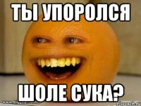 ты упоролся шоле сука?