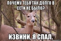 Почему тебя так долго в сети не было? Извини, я спал.