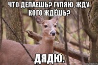 Что делаешь? Гуляю, жду. Кого ждёшь? Дядю.