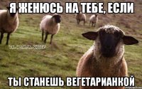 я женюсь на тебе, если ТЫ СТАНЕШЬ ВЕГЕТАРИАНКОЙ