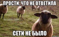 Прости, что не ответила Сети не было