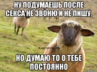 Ну подумаешь после секса не звоню и не пишу, Но думаю то о тебе постоянно