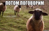 Потом поговорим 