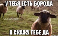 У ТЕБЯ ЕСТЬ БОРОДА Я СКАЖУ ТЕБЕ ДА