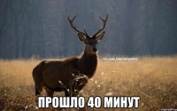  прошло 40 минут