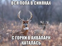 Вся попа в синяках С горки в аквапарк каталась