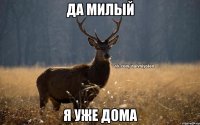 да милый я уже дома