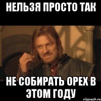 нельзя просто так не собирать орех в этом году