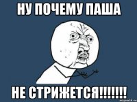 ну почему Паша не стрижется!!!!!!!