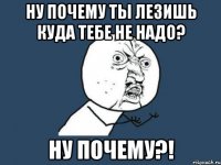 Ну почему ты лезишь куда тебе не надо? Ну почему?!