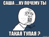 Саша ....ну почему ты Такая тупая ?