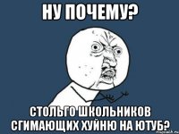 Ну почему? стольго школьников сгимающих хуйню на ютуб?