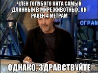 Член голубого кита самый длинный в мире животных, он равен 4 метрам Однако, здравствуйте