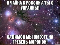 Я чайка с России а ты с Украины! Садимся мы вместе на гребень морской!