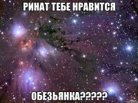 ринат тебе нравится обезьянка?????