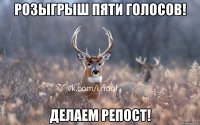 Розыгрыш пяти голосов! Делаем Репост!