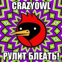 Crazyowl РУЛИТ БЛЕАТЬ!