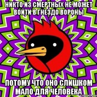 никто из смертных не может войти в гнездо вороны потому что оно слишком мало для человека