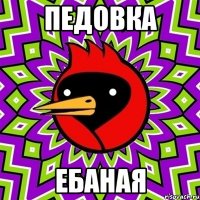 педовка ебаная