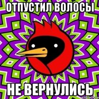 отпустил волосы не вернулись