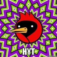  hyt