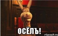  Осёлъ!