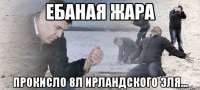 Ебаная жара Прокисло 8л ирландского эля...