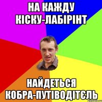 на кажду кіску-лабірінт найдеться кобра-путіводітєль