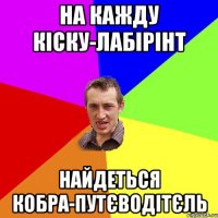 на кажду кіску-лабірінт найдеться кобра-путєводітєль