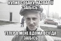 купив собаку, назвав її "заїбісь" тепер в мене вдома всігда заїбісь