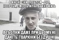 В жизні сіки проблєм - ДТП, хвороби, смерть, й так важко жить а тьолки даже при цьому не дають, тварюки бездушні