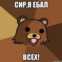 Сир,я ебал Всех!