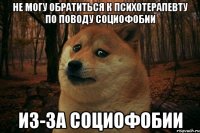 не могу обратиться к психотерапевту по поводу социофобии из-за социофобии