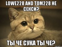 Lowe228 and Tom228 не секси? Ты че сука ты че?