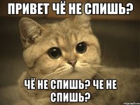 привет чё не спишь? чё не спишь? че не спишь?