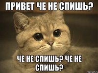 Привет че не спишь? Че не спишь? Че не спишь?