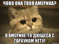 Чово она твоя Америка? В Америке-то Дющеса с Тархуном нету!