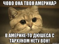 Чово она твоя Америка? В Америке-то Дюшеса с Тархуном нету вон!