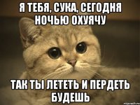 Я тебя, сука, сегодня ночью охуячу Так ты лететь и пердеть будешь