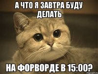 А что я завтра буду делать На форворде в 15:00?