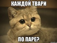 Каждой твари по паре?