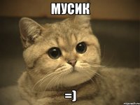 Мусик =)