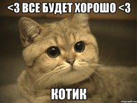 <3 все будет хорошо <3 Котик