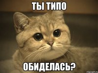 Ты типо Обиделась?