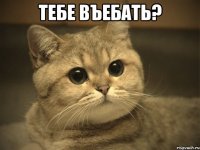 тебе въебать? 