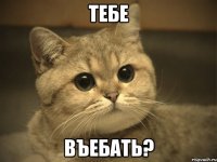 Тебе Въебать?