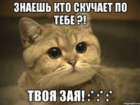 Знаешь кто скучает по тебе ?! Твоя Зая! :* :* :*