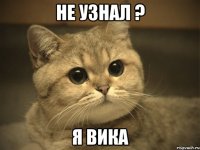 Не узнал ? Я вика