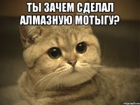 ты зачем сделал алмазную мотыгу? 